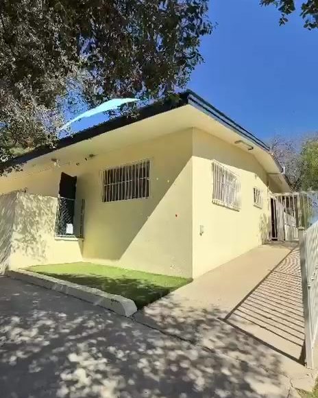 Colegio Encinos classroom building in the shade of a large tree